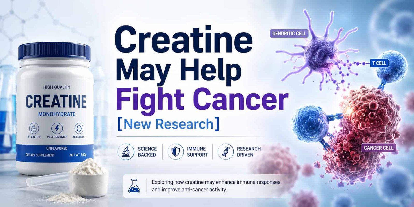 Creatine May Help Fight Cancer [New Research]